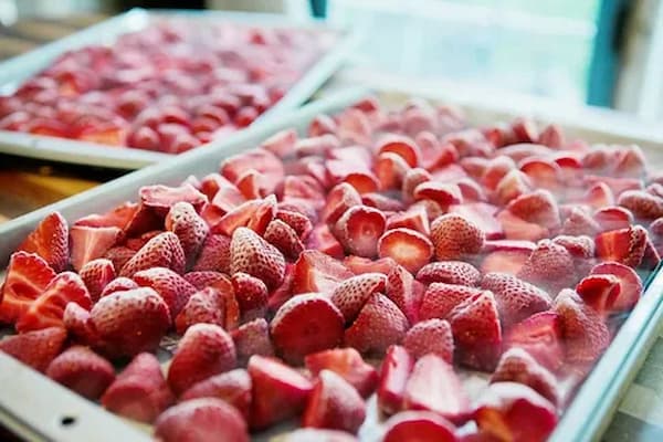 تصویر 3 از قیمت خرید توت فرنگی خشک ژله ای با فروش عمده